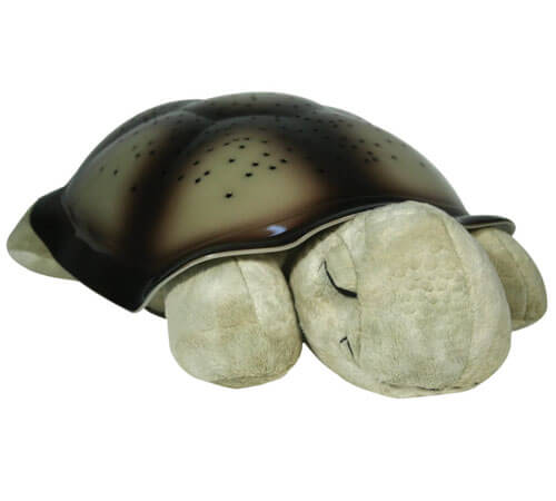 Turtle Classic Night Light